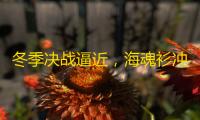 冬季决战逼近,海魂衫冲锋在前,战场局势风云突变。